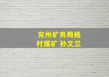 兖州矿务局杨村煤矿 孙文兰